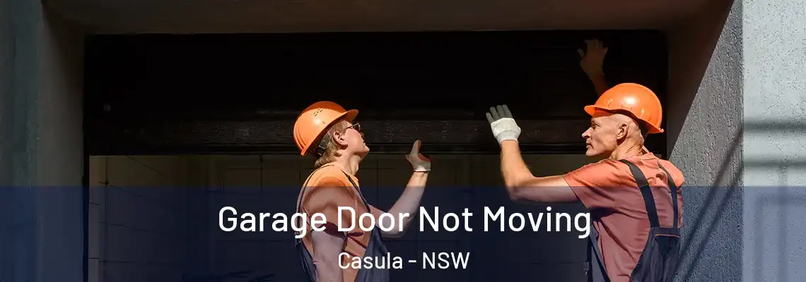 Garage Door Not Moving Casula - NSW