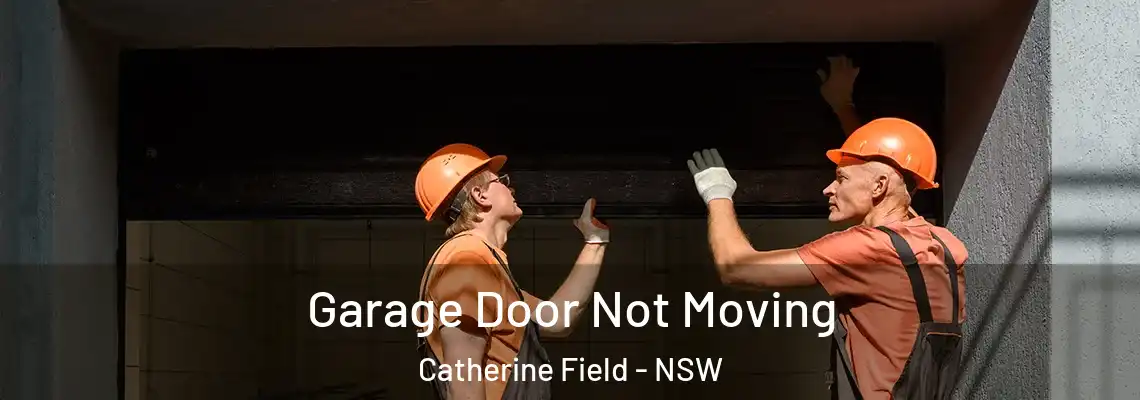 Garage Door Not Moving Catherine Field - NSW