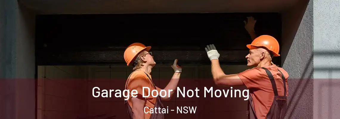 Garage Door Not Moving Cattai - NSW