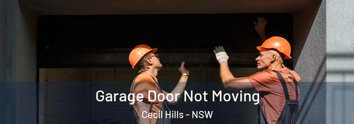  Garage Door Not Moving Cecil Hills - NSW