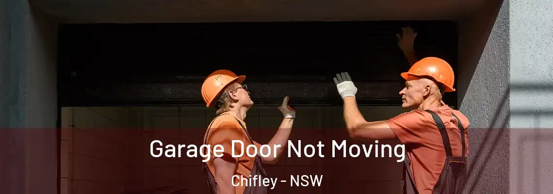 Garage Door Not Moving Chifley - NSW