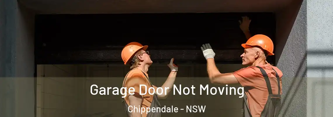 Garage Door Not Moving Chippendale - NSW