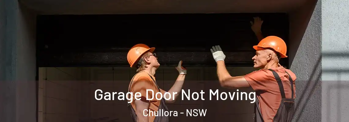 Garage Door Not Moving Chullora - NSW