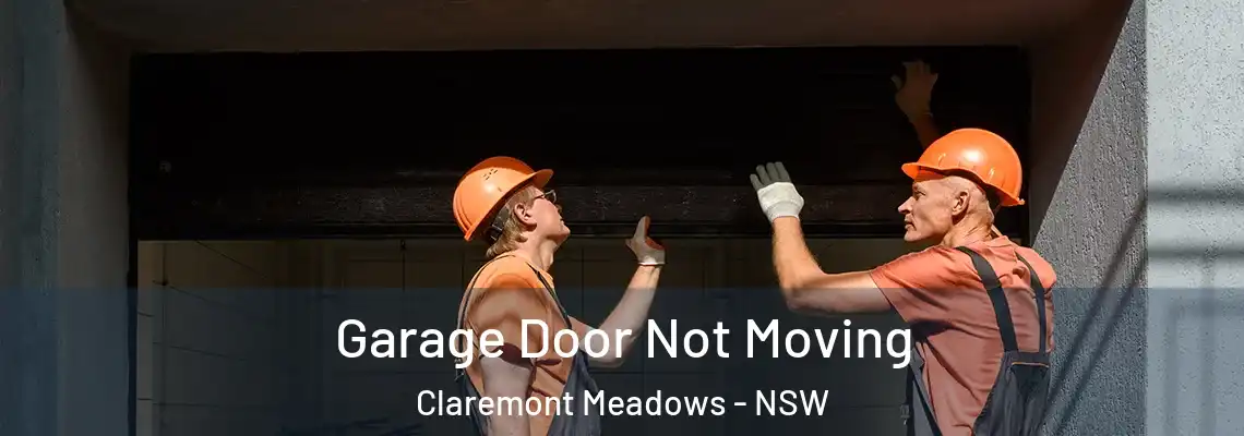 Garage Door Not Moving Claremont Meadows - NSW
