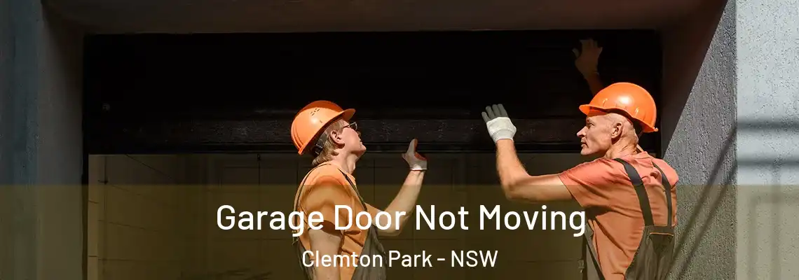 Garage Door Not Moving Clemton Park - NSW