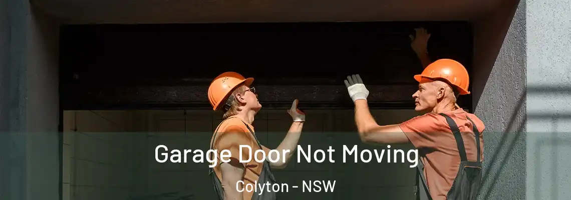 Garage Door Not Moving Colyton - NSW