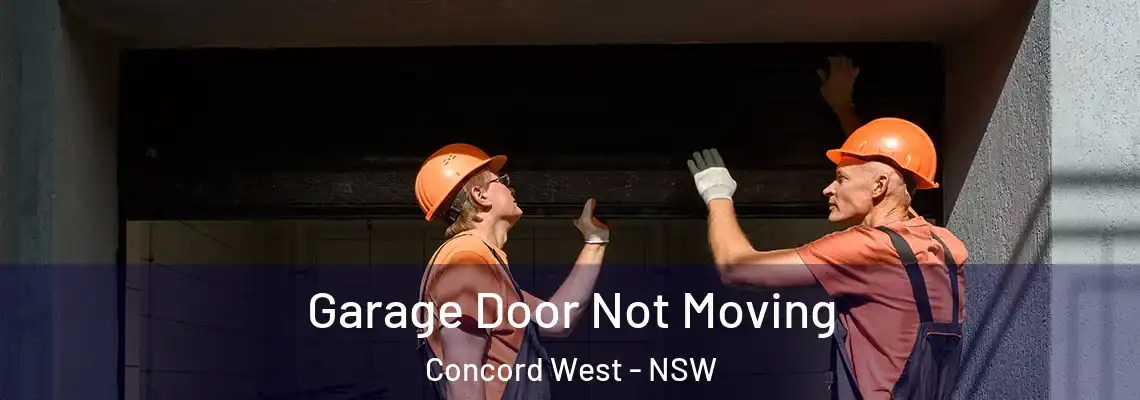 Garage Door Not Moving Concord West - NSW