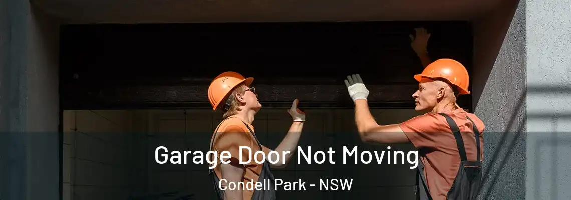 Garage Door Not Moving Condell Park - NSW
