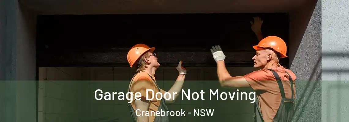 Garage Door Not Moving Cranebrook - NSW