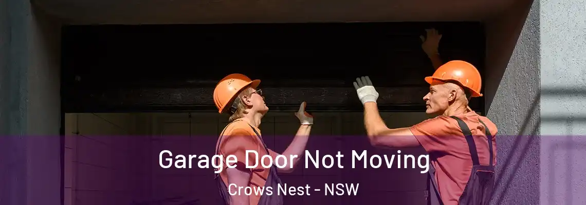 Garage Door Not Moving Crows Nest - NSW