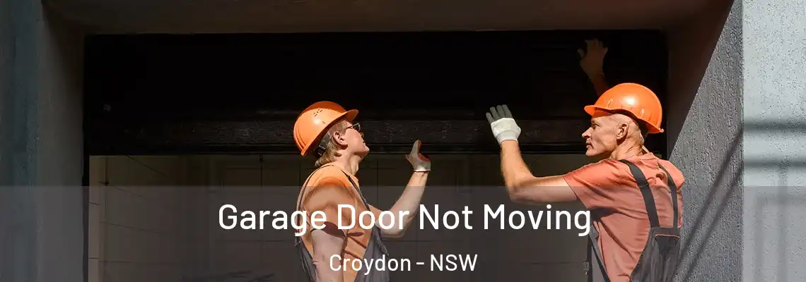 Garage Door Not Moving Croydon - NSW