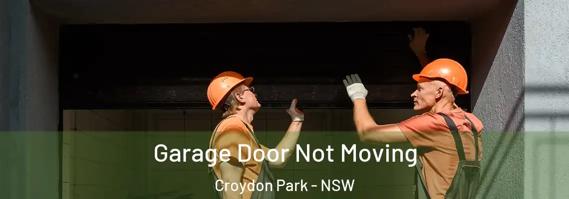 Garage Door Not Moving Croydon Park - NSW