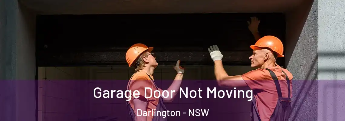 Garage Door Not Moving Darlington - NSW