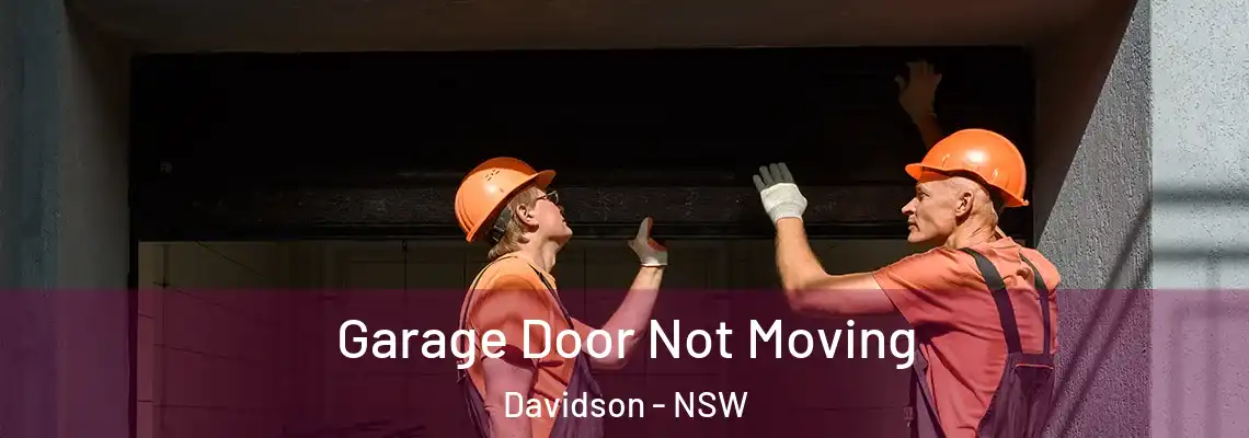 Garage Door Not Moving Davidson - NSW