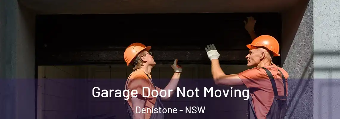 Garage Door Not Moving Denistone - NSW