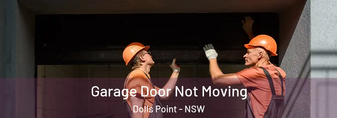 Garage Door Not Moving Dolls Point - NSW