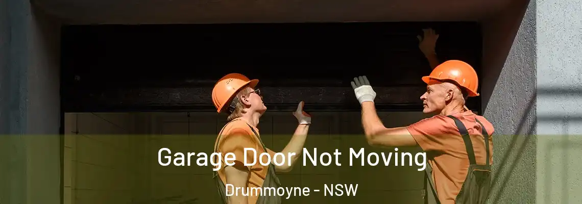 Garage Door Not Moving Drummoyne - NSW