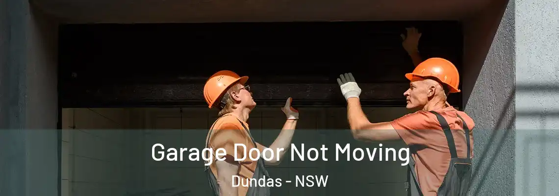 Garage Door Not Moving Dundas - NSW