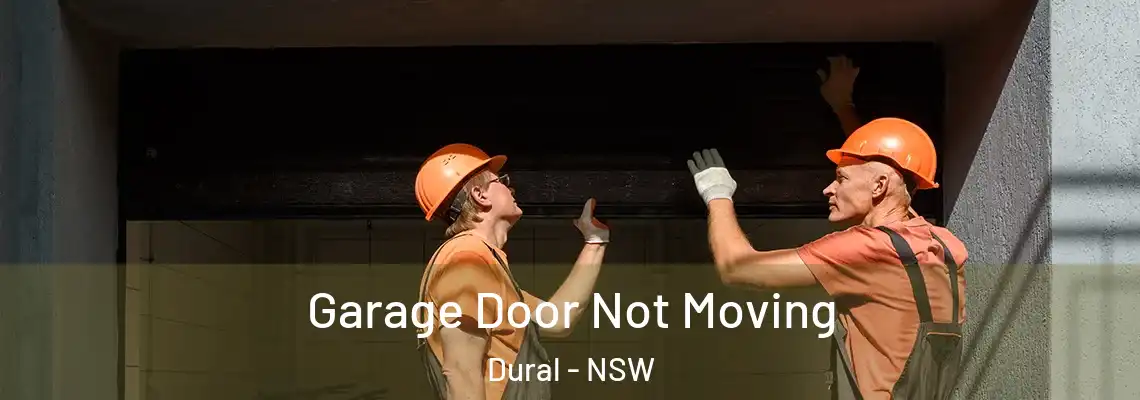 Garage Door Not Moving Dural - NSW