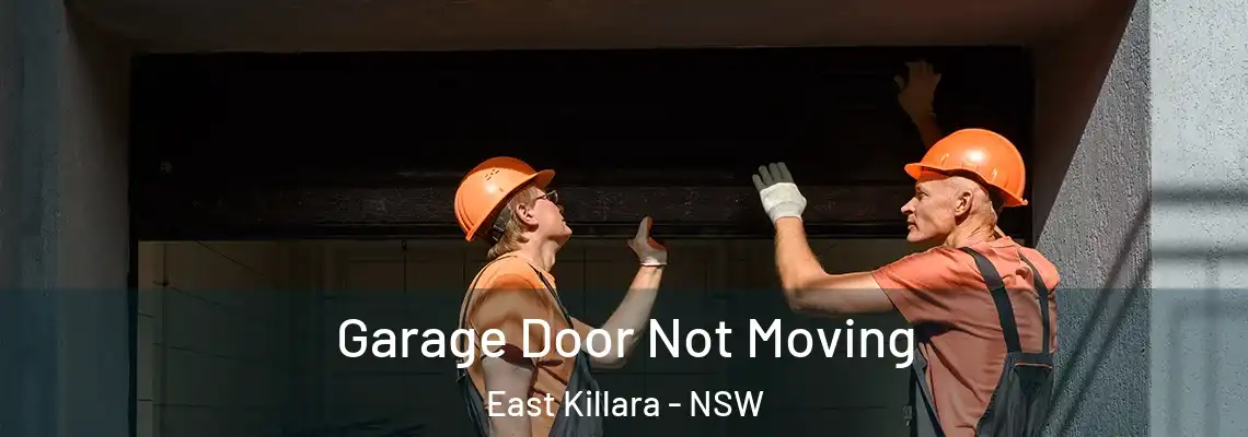 Garage Door Not Moving East Killara - NSW