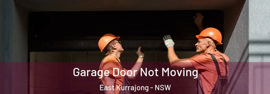 Garage Door Not Moving East Kurrajong - NSW