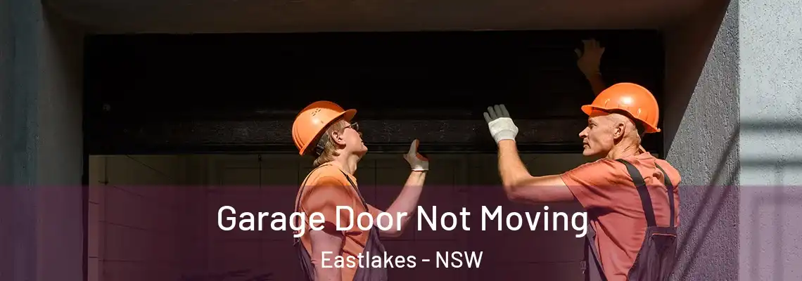 Garage Door Not Moving Eastlakes - NSW
