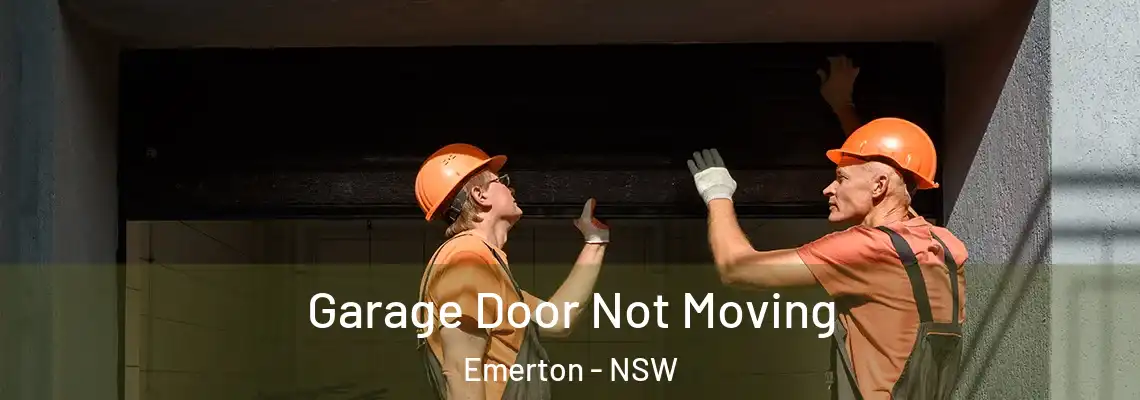 Garage Door Not Moving Emerton - NSW