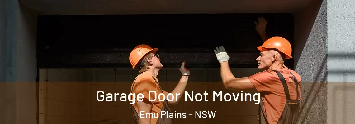 Garage Door Not Moving Emu Plains - NSW