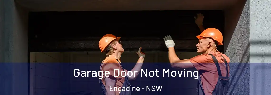 Garage Door Not Moving Engadine - NSW