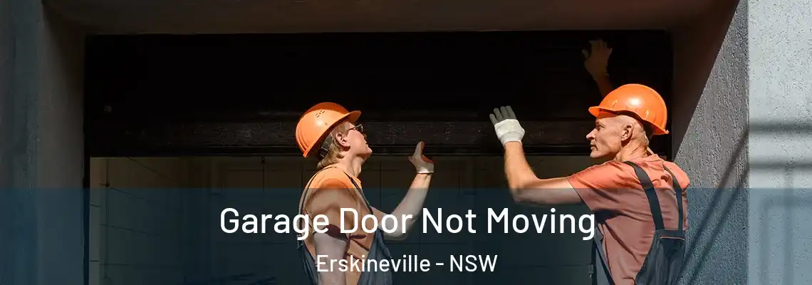 Garage Door Not Moving Erskineville - NSW