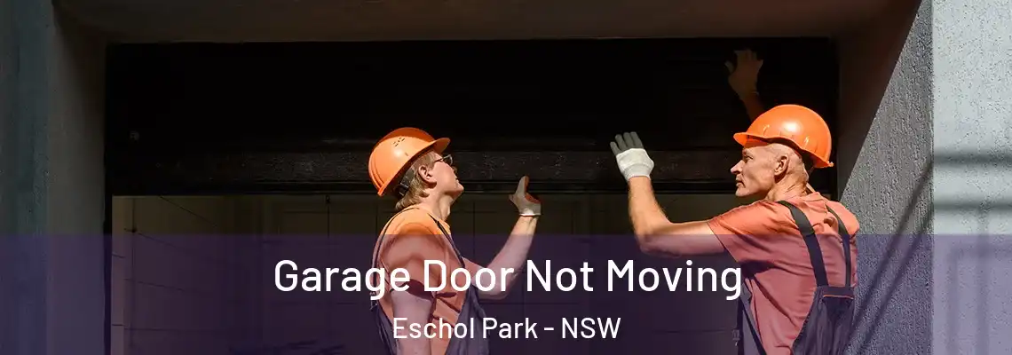 Garage Door Not Moving Eschol Park - NSW