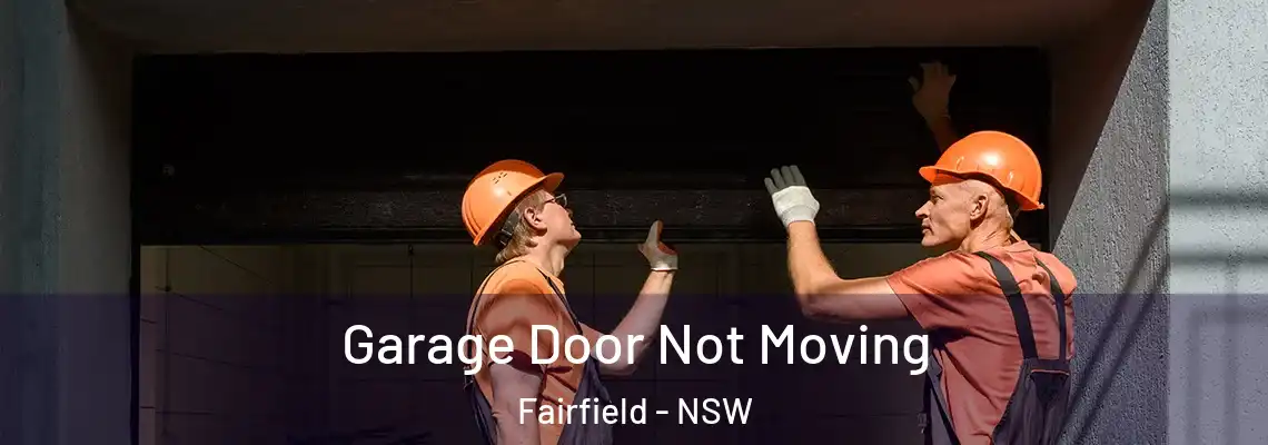 Garage Door Not Moving Fairfield - NSW