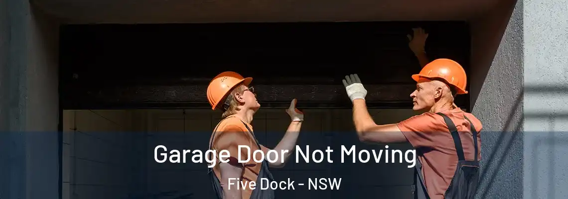 Garage Door Not Moving Five Dock - NSW