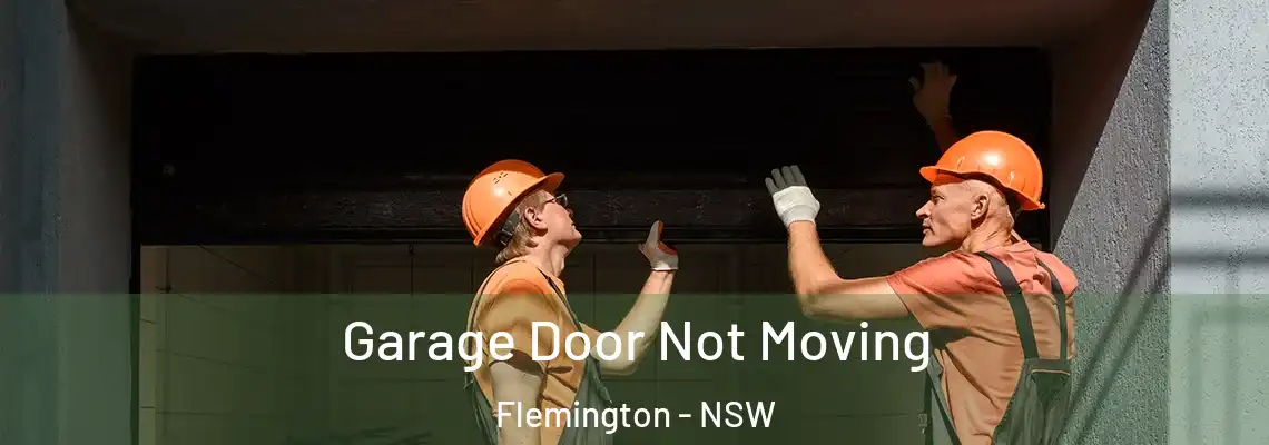 Garage Door Not Moving Flemington - NSW