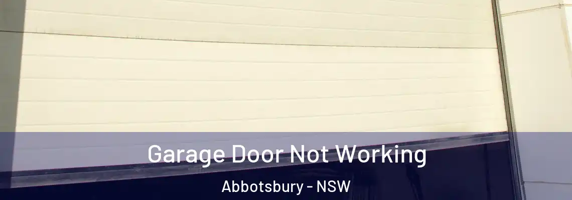 Garage Door Not Working Abbotsbury - NSW