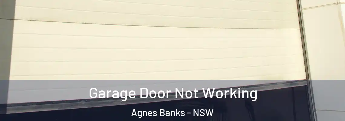 Garage Door Not Working Agnes Banks - NSW