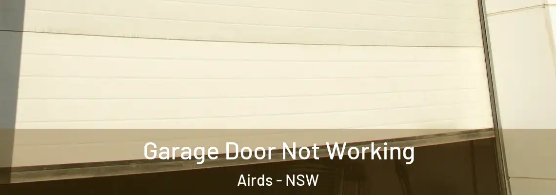 Garage Door Not Working Airds - NSW