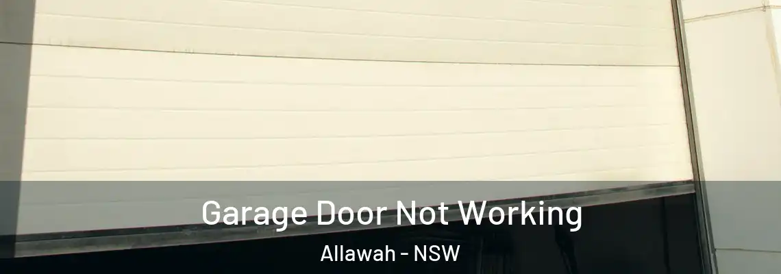 Garage Door Not Working Allawah - NSW