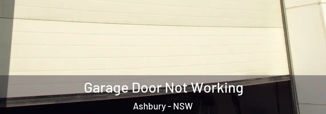 Garage Door Not Working Ashbury - NSW