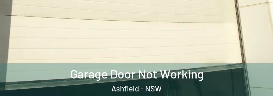 Garage Door Not Working Ashfield - NSW