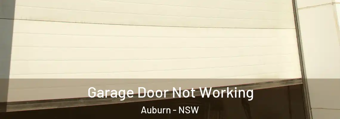 Garage Door Not Working Auburn - NSW