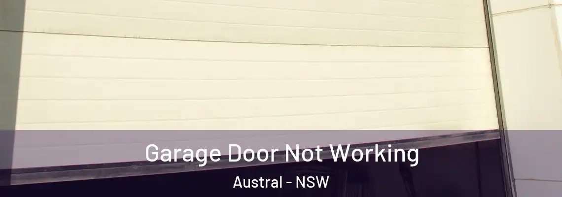 Garage Door Not Working Austral - NSW