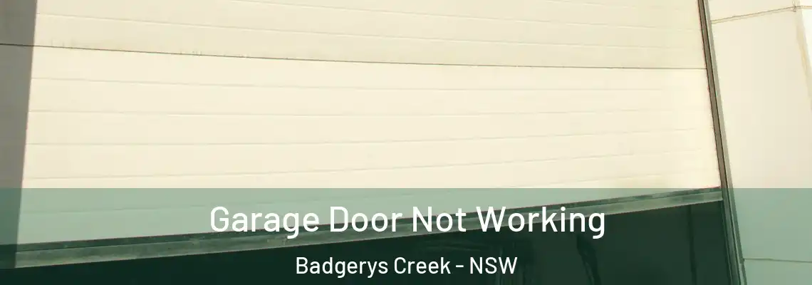 Garage Door Not Working Badgerys Creek - NSW