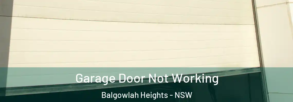 Garage Door Not Working Balgowlah Heights - NSW