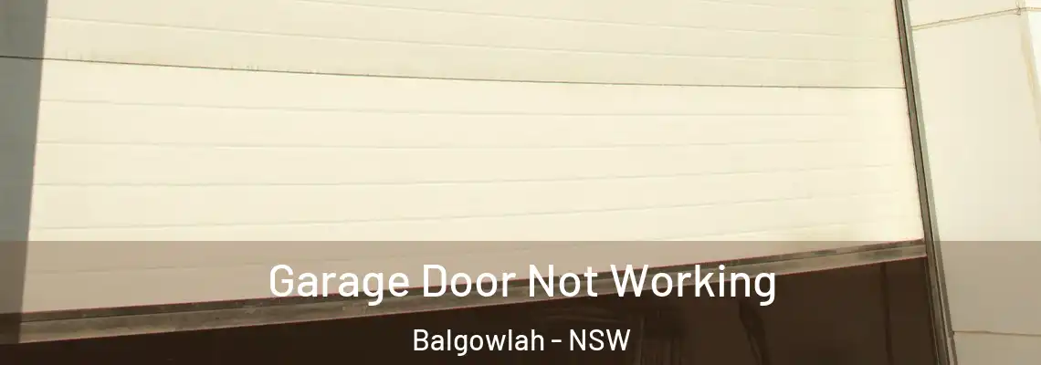 Garage Door Not Working Balgowlah - NSW
