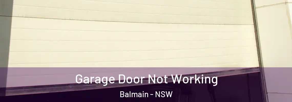 Garage Door Not Working Balmain - NSW