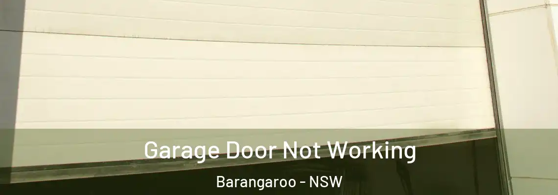 Garage Door Not Working Barangaroo - NSW