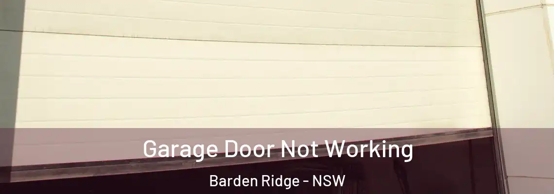 Garage Door Not Working Barden Ridge - NSW