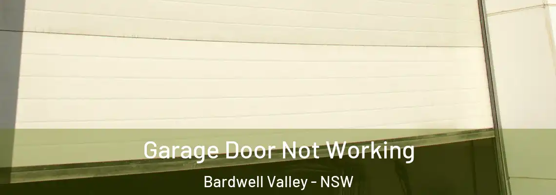 Garage Door Not Working Bardwell Valley - NSW