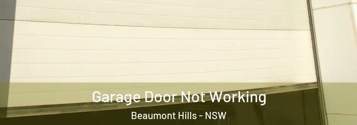 Garage Door Not Working Beaumont Hills - NSW